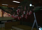 Maskenball 15