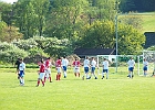 080504 Gams 05