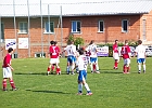 080504 Gams 15