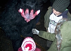 051208 Nikolaus 61