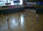 Drosg 2009 65
