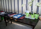 050909 Preisschnapsen 07