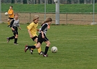 23042010 NZ Sulmtal 010