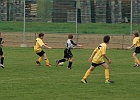 23042010 NZ Sulmtal 011