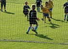 26052010 Preding 015
