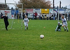 26102009 Preding 05