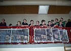 08122009 U12 04