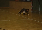 02012010 12 Drosg Turnier 63