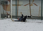 03032010 Trainingslager 011