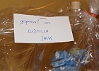04092010 Preisschnapsen 056