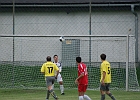 21082010 Rebenland 014