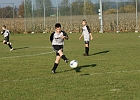 06112010 Steyeregg 006