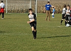 06112010 Steyeregg 010