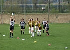 08042011 NZS 011