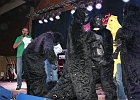 20022012 Maskenball 130