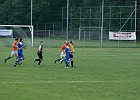 20082011 Poelfing Brunn 012