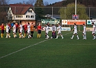 30032012 Poelfing Brunn 045