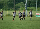 06062012 NZS 006