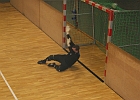 17112012 Gemeindehallenturnier 052