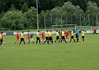 02062013 Rebenland 002