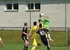 08062013 Preding 027