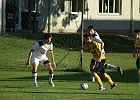 20102012 Allerheiligen 006