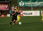 26042013 Poelfing Brunn 009