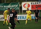 26042013 Poelfing Brunn 016