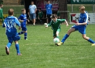 20052013 Admira Linz 014