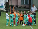 U7 Turnier 03062014 013