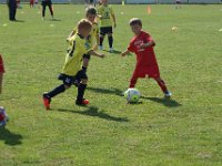Turnier 23092016 24092016 084