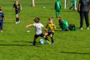 2025_26_U8_Turnier_2025-10-11_0012
